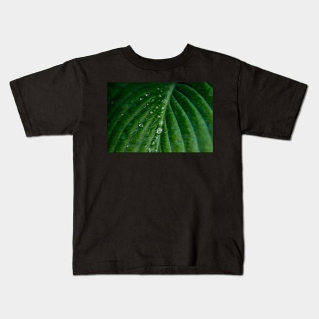 Water droplets on Hosta leaf Kids T-Shirt by RosNapier